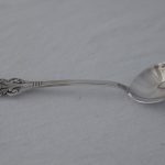 Isskje i Viking Rose