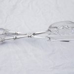 Smørbrødtang i Anitra