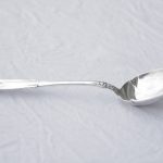 Dessertskje i Hardanger