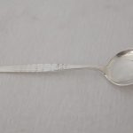 Barne/isskje i Fasett