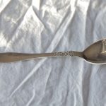 Syltetøyskje i Laila