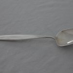 Anretningsskje i Åre