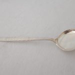 Anrettningsskje i Fasett